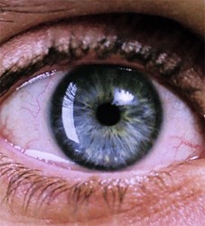 دکترعلی ابراهیم زاده