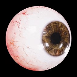 دکترای حسین جعفری روحی