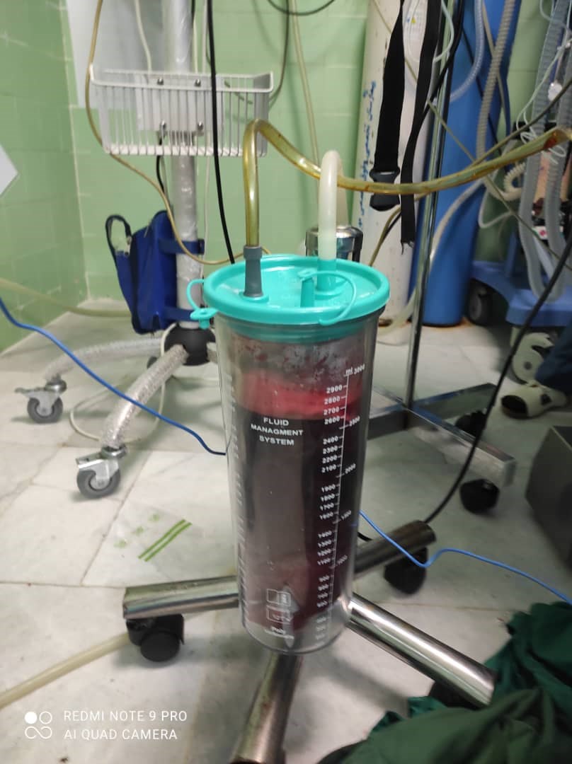 پروفسور سید ضیاء الله حقی