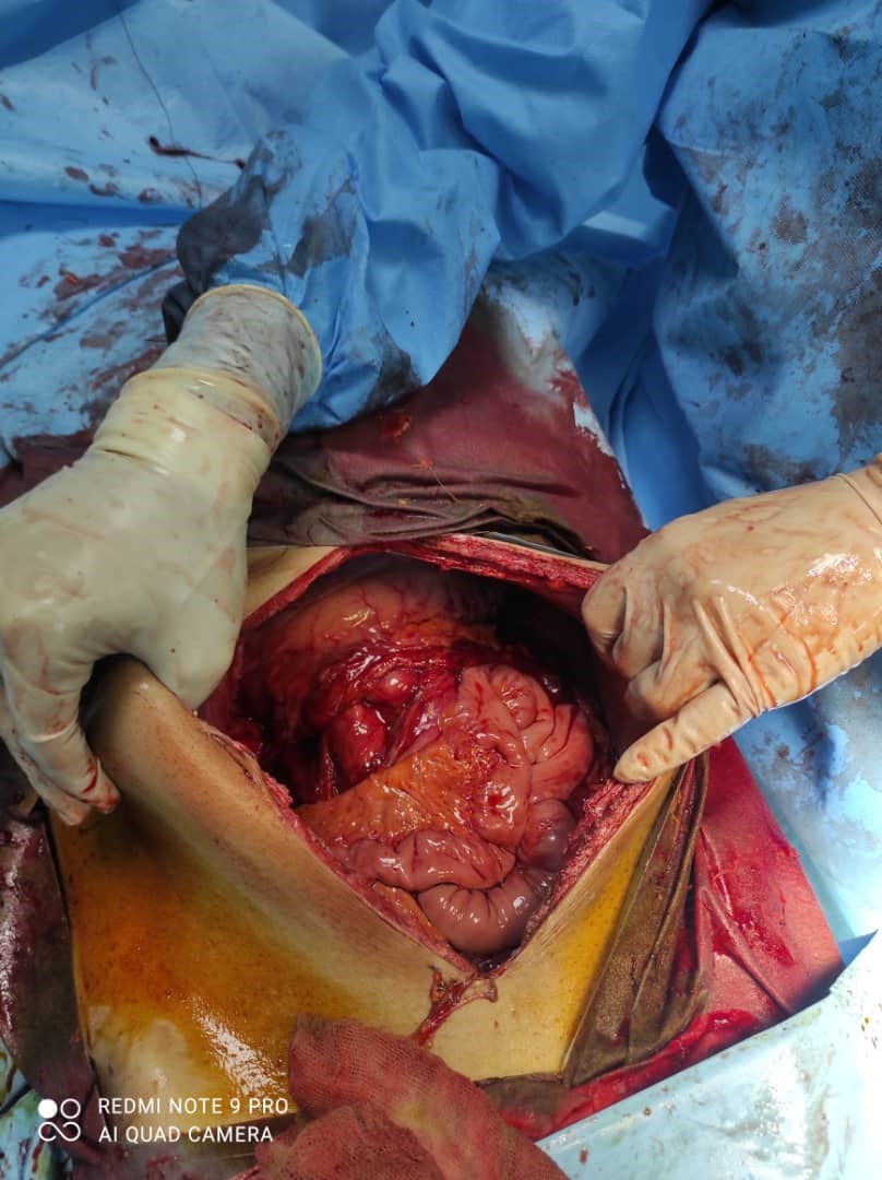 پروفسور سید ضیاء الله حقی