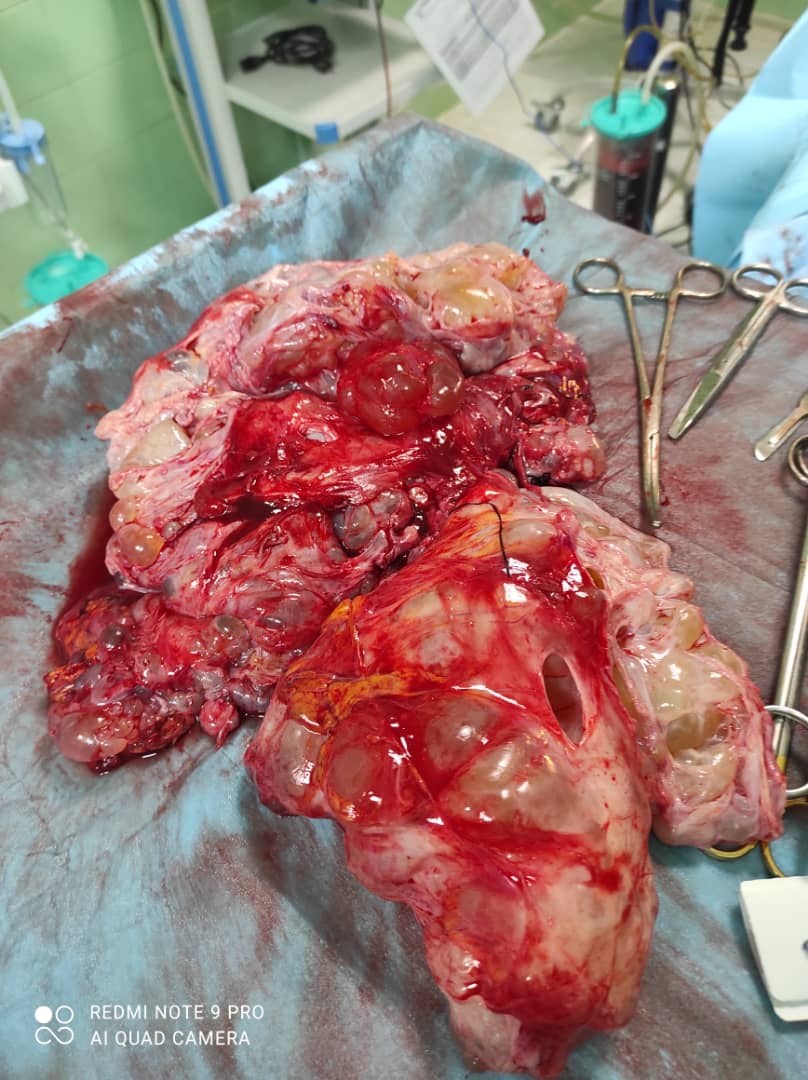 پروفسور سید ضیاء الله حقی