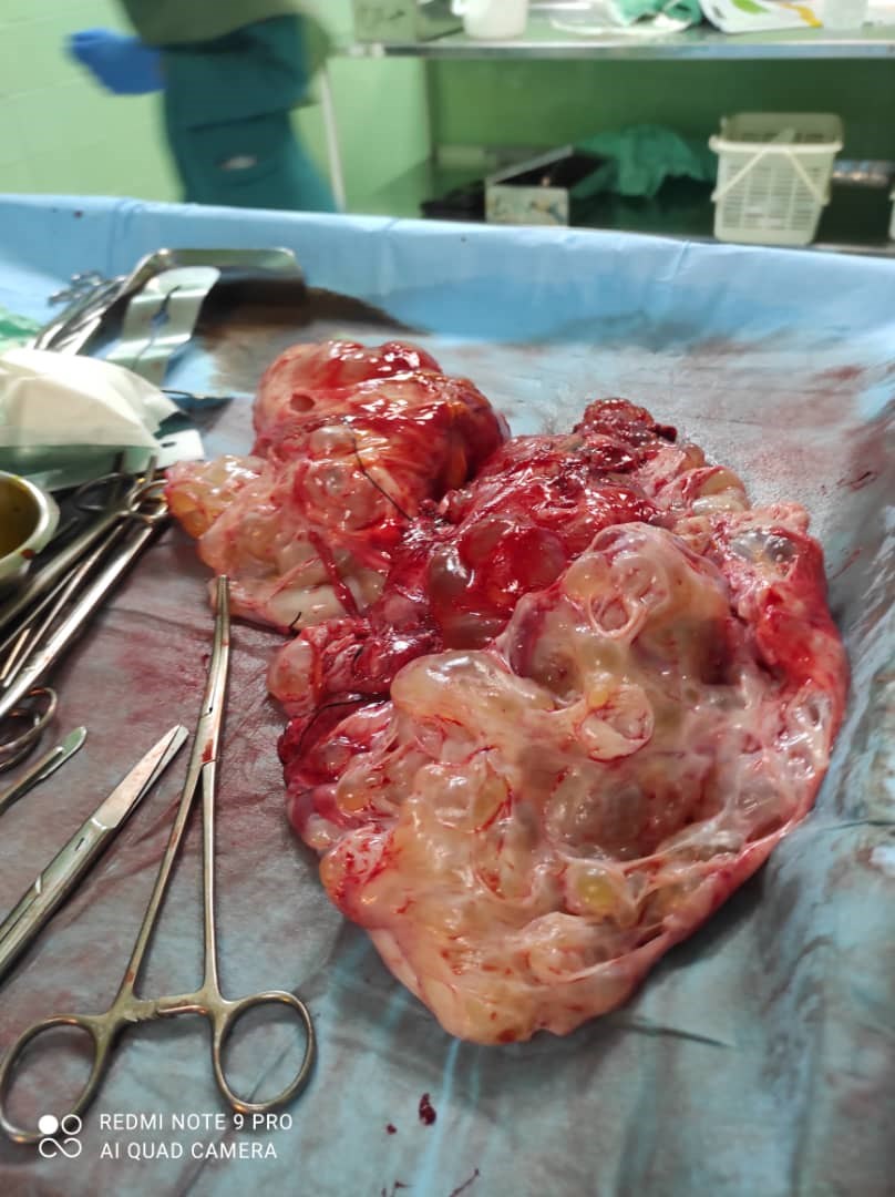 پروفسور سید ضیاء الله حقی