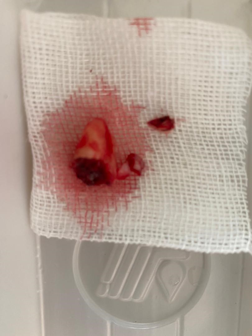 دکترعلی مظفری