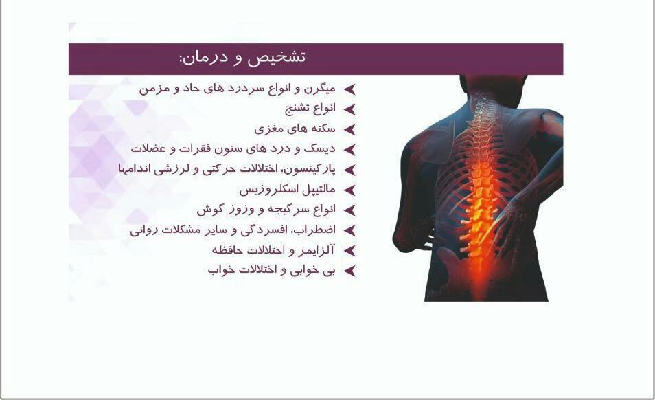 دکتر الهه محقق منتظری