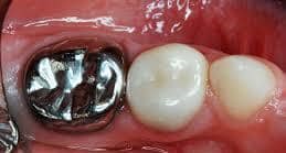 دکتر سید مسعود سید احدی