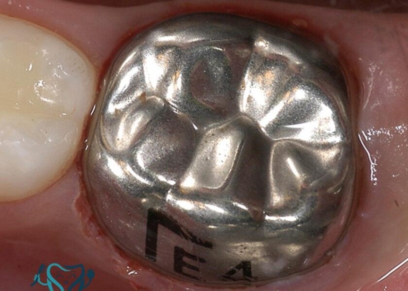 دکتر سید مسعود سید احدی