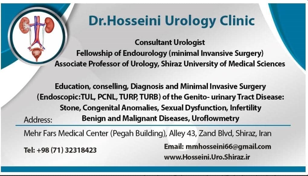 دکتر محمدمهدی حسینی 