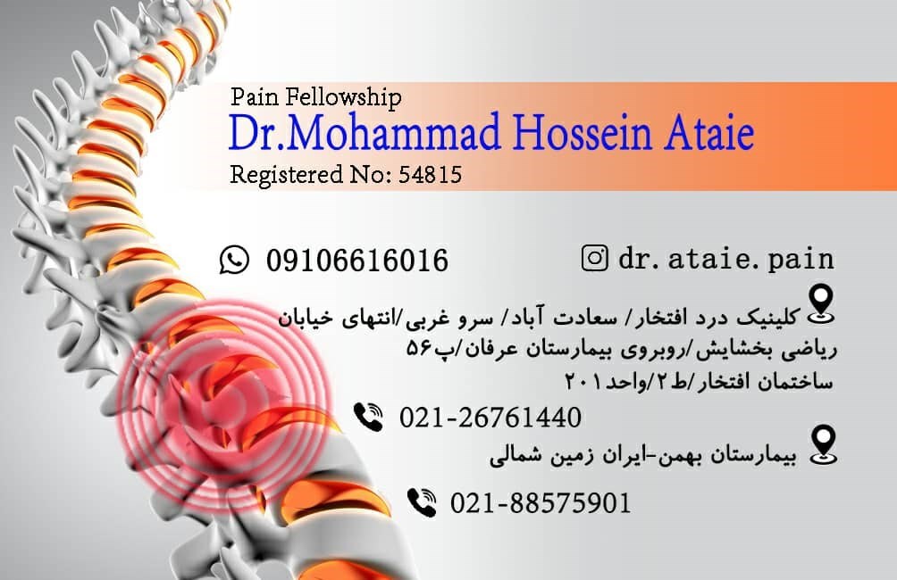 دکتر محمد حسین عطایی