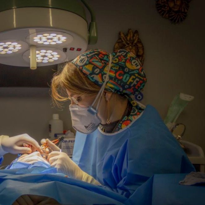 دکترسیده مطهره عبدالهی