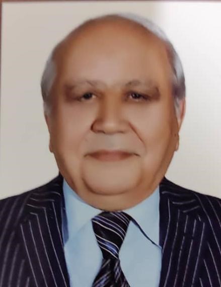 پروفسور سید ضیاء الله حقی