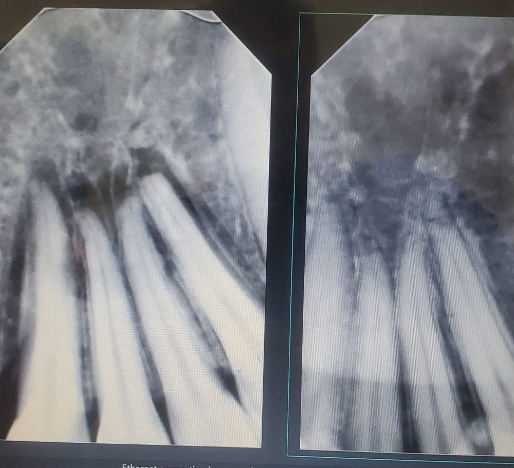 دکترمرتضی ابراهیمی راد،کلینیک دندانپزشکی کارون