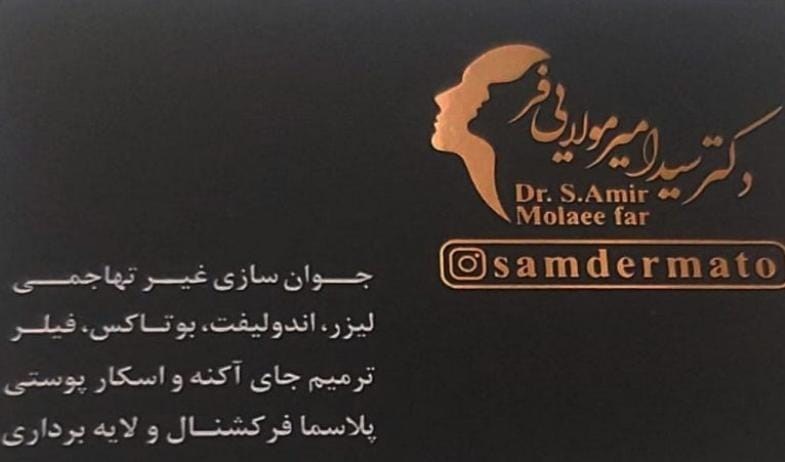 دکتر سید امیر مولایی فر