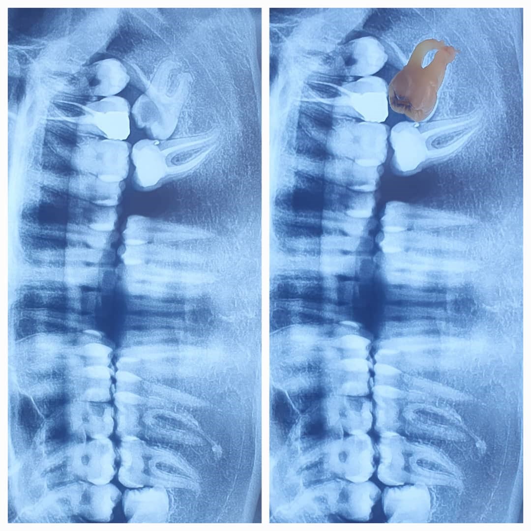 دکتر پیمان عباس نژاد