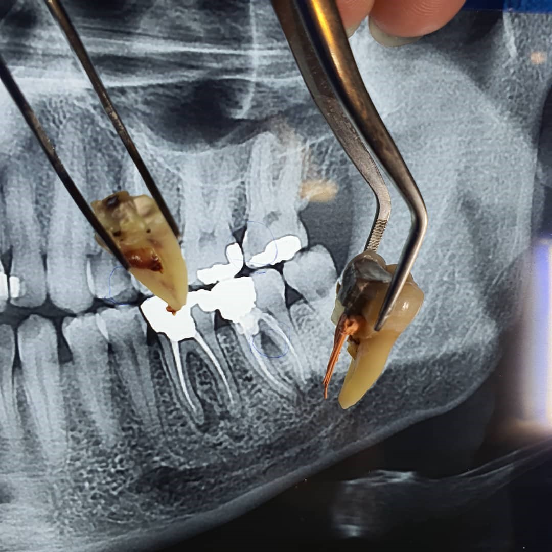 دکتر میترا وثوقی