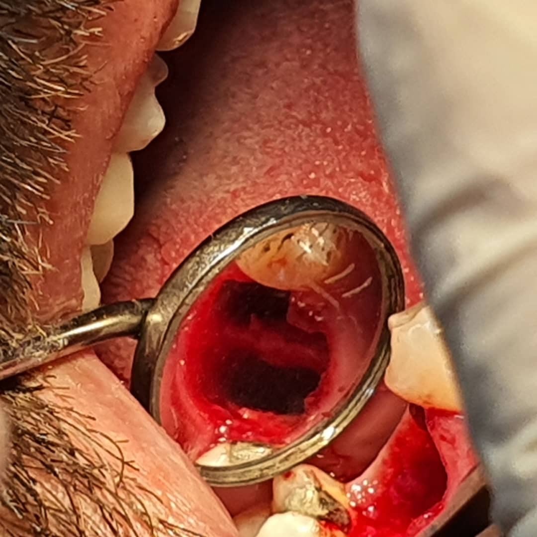 دکتر میترا وثوقی 