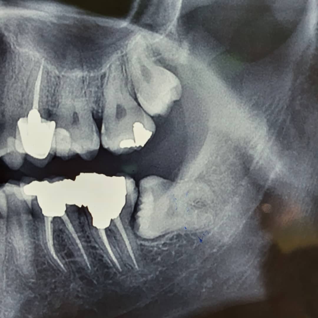 دکتر میترا وثوقی 