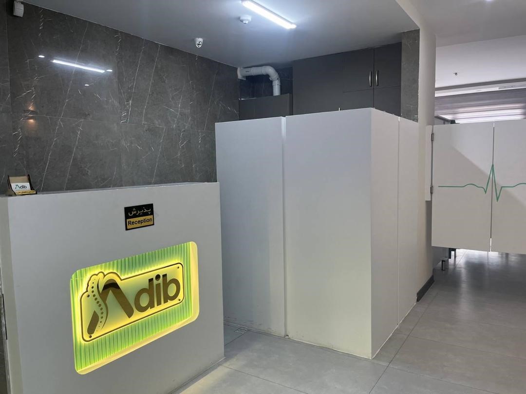 مهشاد ادیب نیا