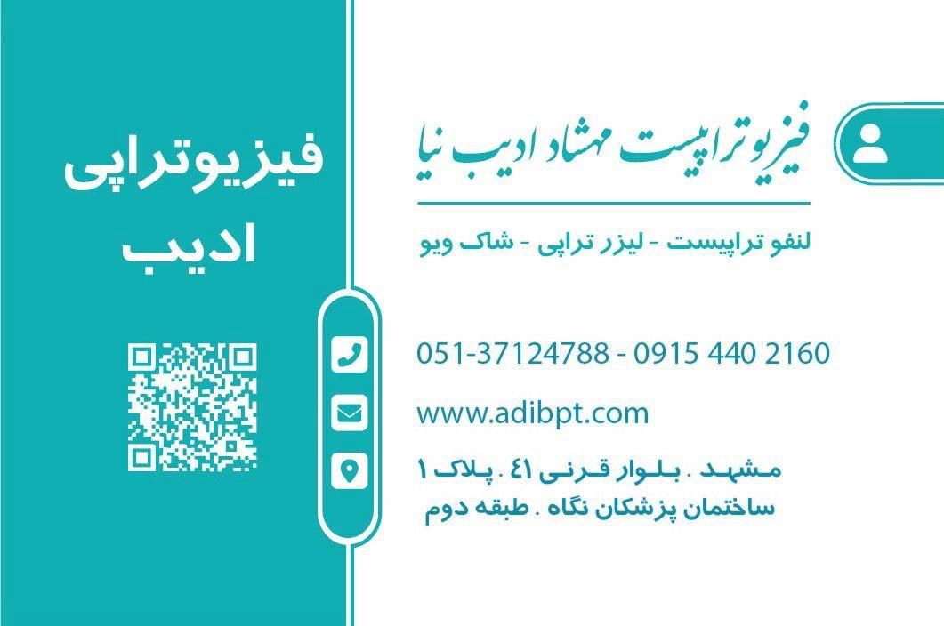 مهشاد ادیب نیا