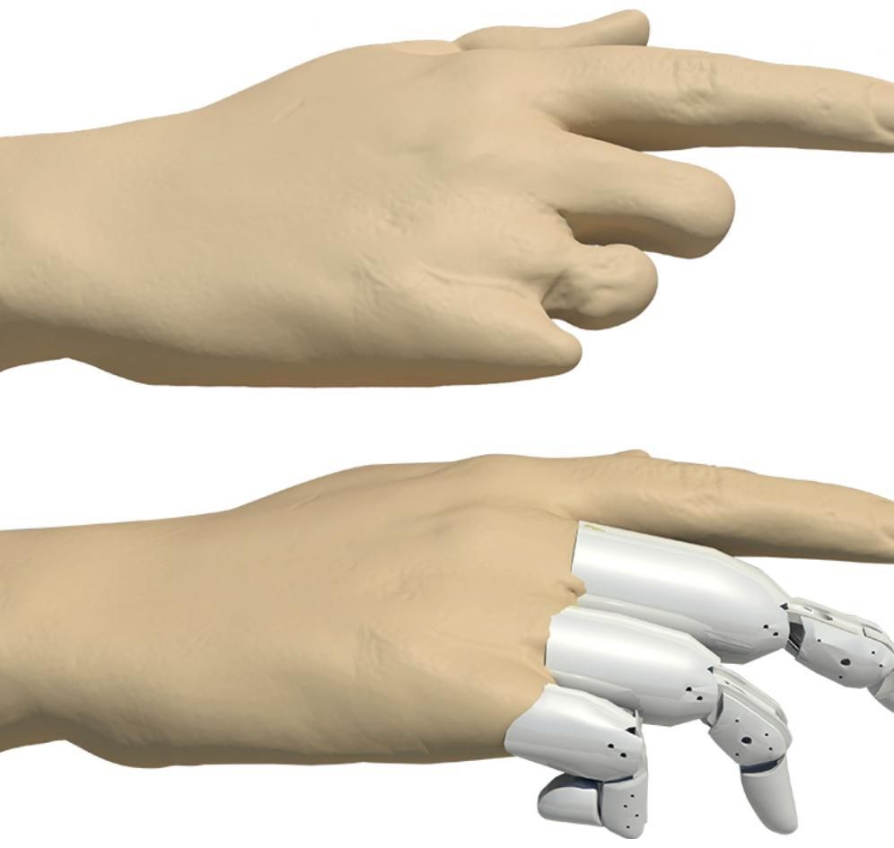 کلینیک ارتوپدی آرام