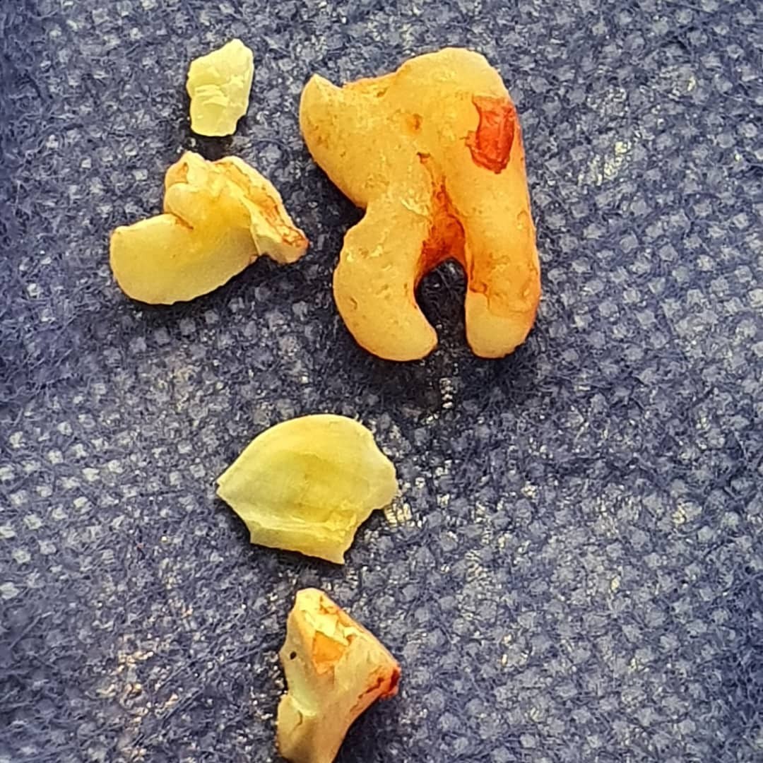 دکتر میترا وثوقی 