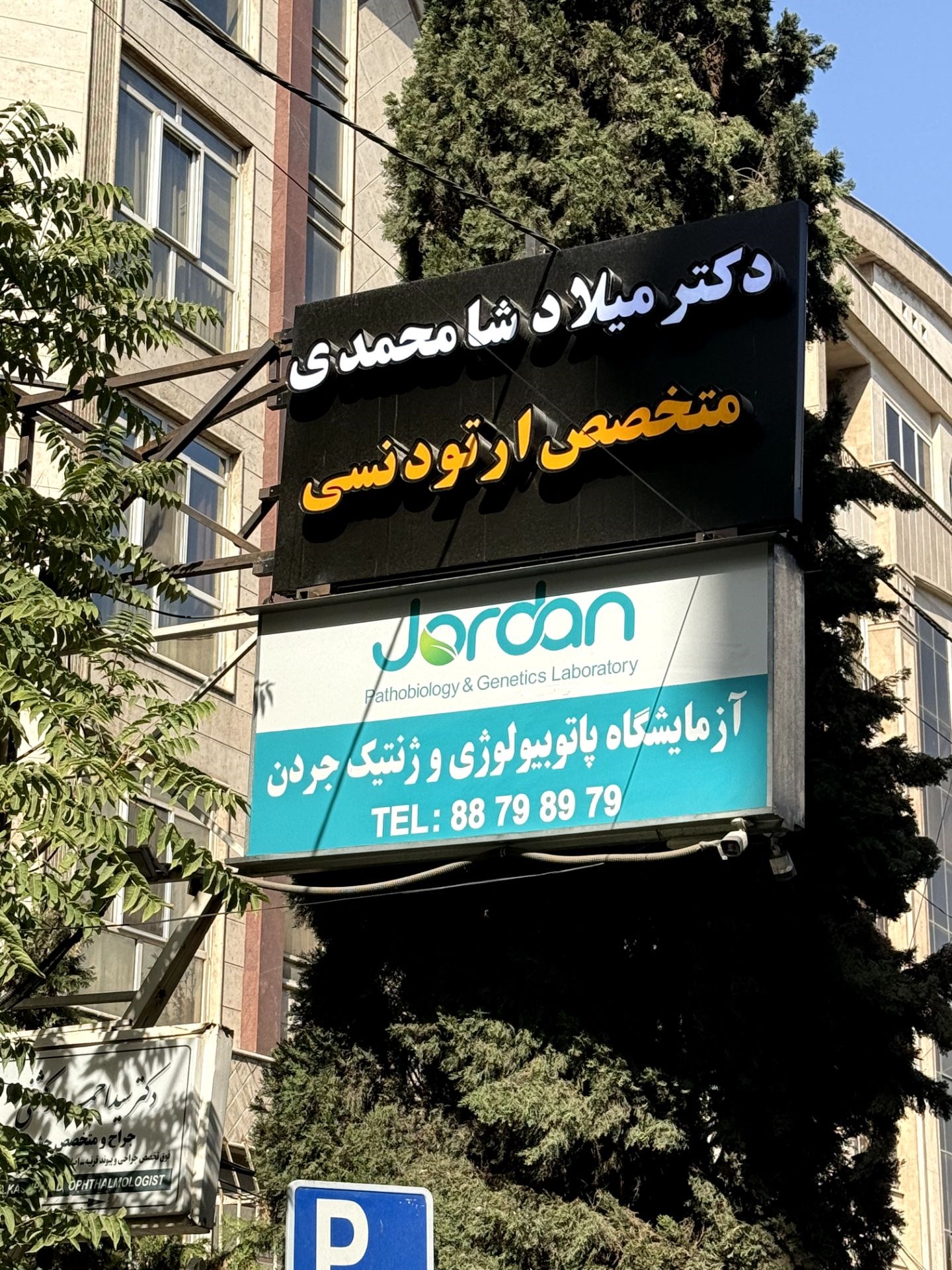 دکتر میلاد شامحمدی